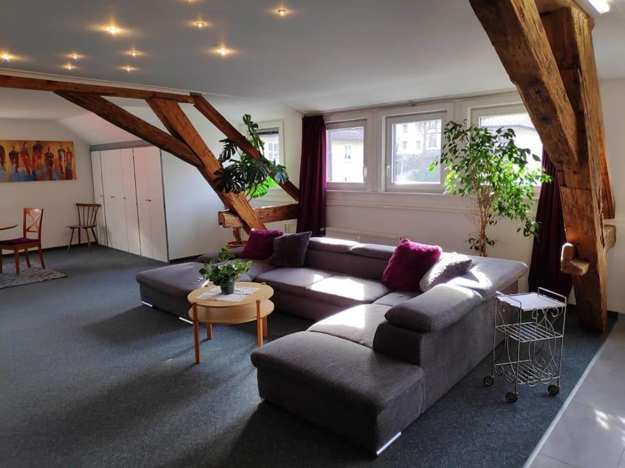 Grosse 130 M2 Gemuetliche Wohnung Im Herzen Tribergs Triberg im Schwarzwald Extérieur photo