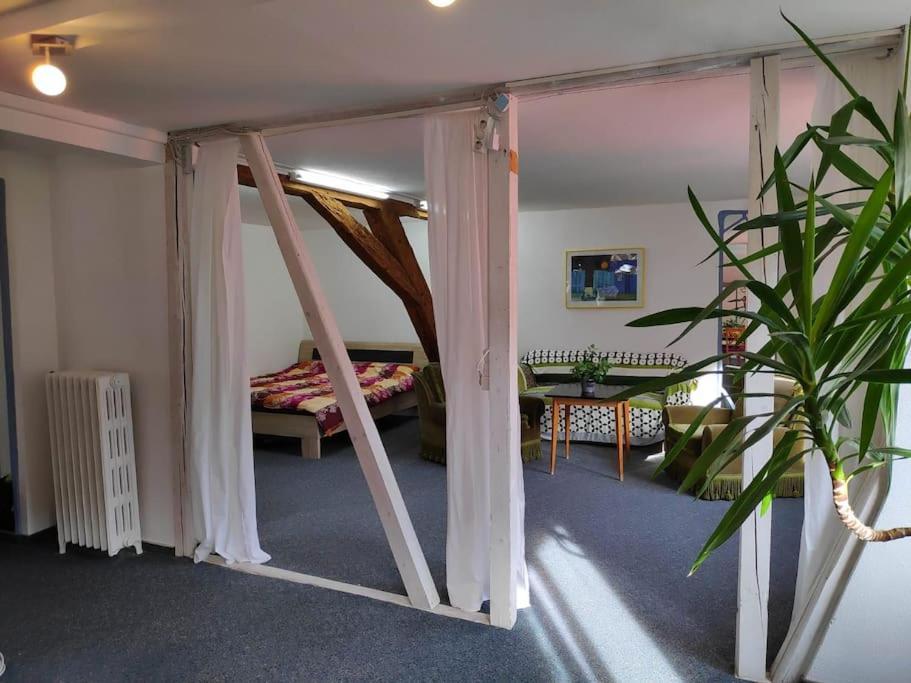 Grosse 130 M2 Gemuetliche Wohnung Im Herzen Tribergs Triberg im Schwarzwald Extérieur photo