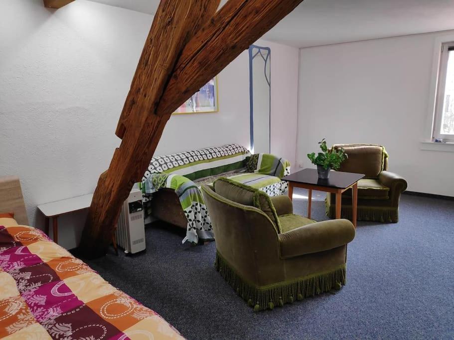 Grosse 130 M2 Gemuetliche Wohnung Im Herzen Tribergs Triberg im Schwarzwald Extérieur photo